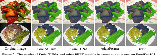 Figure 3 for Swin-TUNA : A Novel PEFT Approach for Accurate Food Image Segmentation