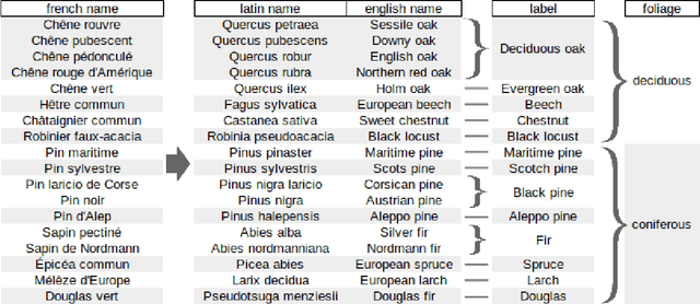 Figure 3 for PureForest: A Large-scale Aerial Lidar and Aerial Imagery Dataset for Tree Species Classification in Monospecific Forests