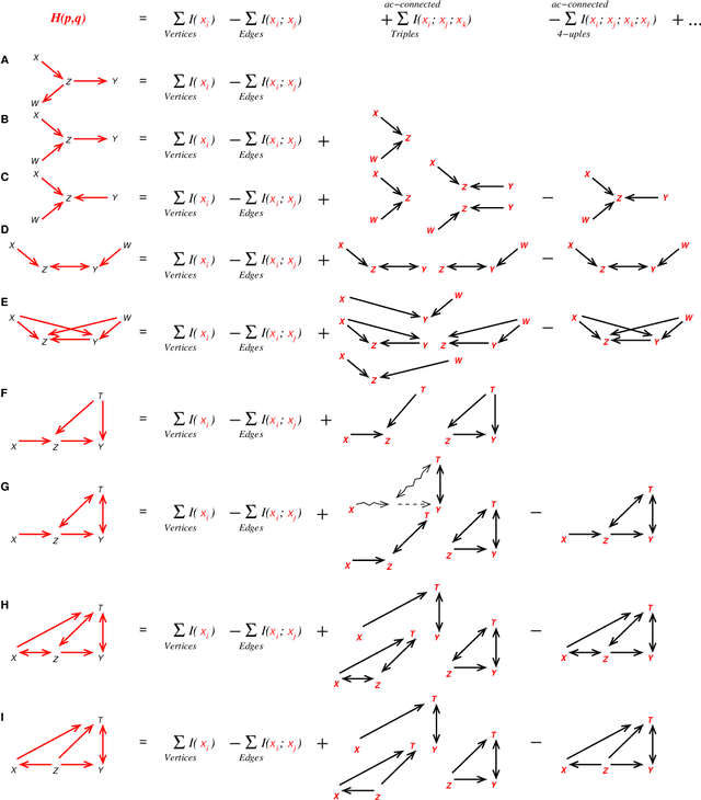 Figure 1 for An efficient search-and-score algorithm for ancestral graphs using multivariate information scores