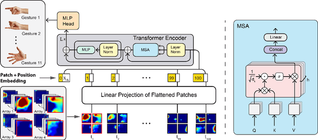 Figure 2 for ViT-MDHGR: Cross-day Reliability and Agility in Dynamic Hand Gesture Prediction via HD-sEMG Signal Decoding