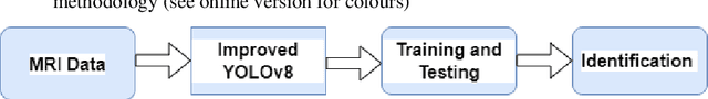 Figure 3 for Brain Tumor Identification using Improved YOLOv8