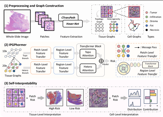 Figure 1 for IPGPhormer: Interpretable Pathology Graph-Transformer for Survival Analysis