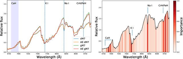Figure 1 for Magnetic activity of ultracool dwarfs in the LAMOST DR11