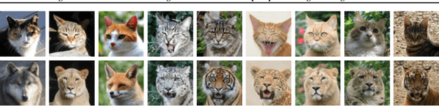 Figure 1 for Regularized Distribution Matching Distillation for One-step Unpaired Image-to-Image Translation