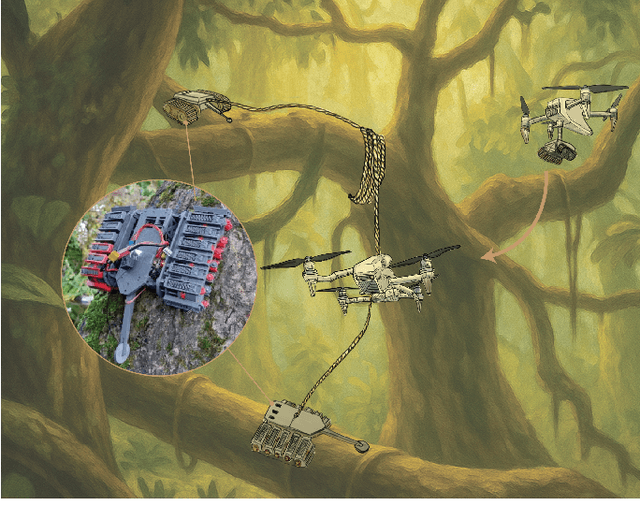 Figure 1 for AMBER: Aerial deployable gripping crawler with compliant microspine for canopy manipulation