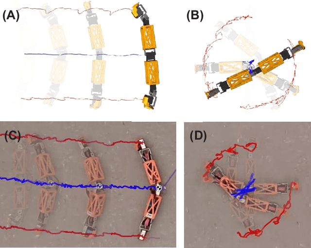 Figure 4 for Transformable Modular Robots: A CPG-Based Approach to Independent and Collective Locomotion