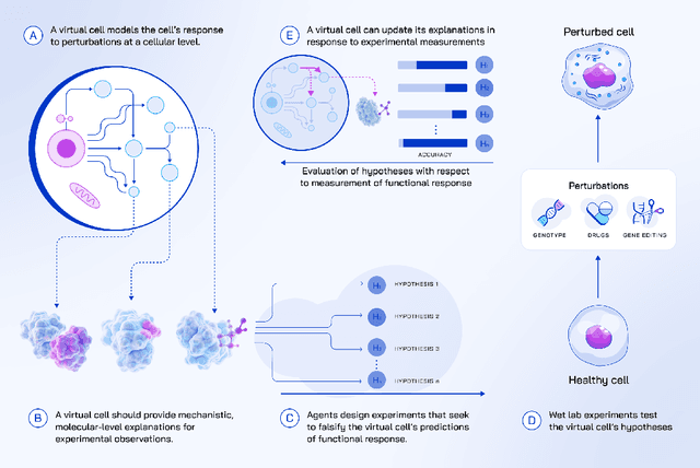 Figure 3 for Virtual Cells: Predict, Explain, Discover