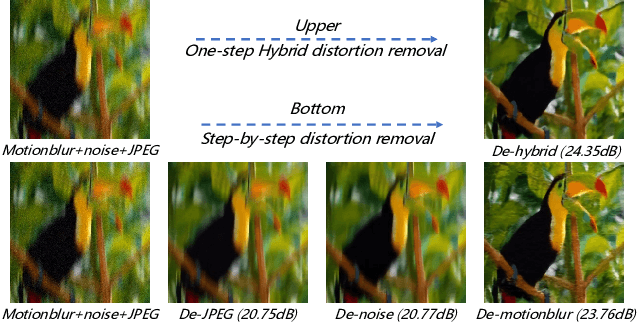 Figure 1 for Hybrid Agents for Image Restoration