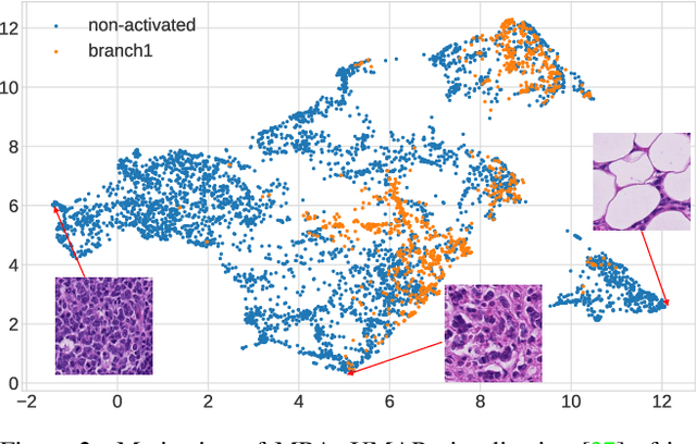 Figure 3 for Attention-Challenging Multiple Instance Learning for Whole Slide Image Classification