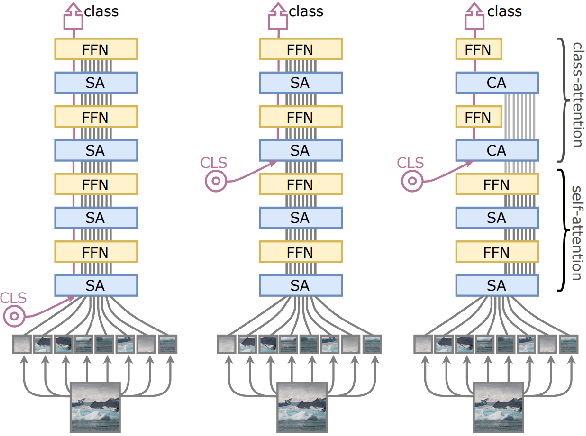 Figure 2 for A Comprehensive Study of Vision Transformers in Image Classification Tasks