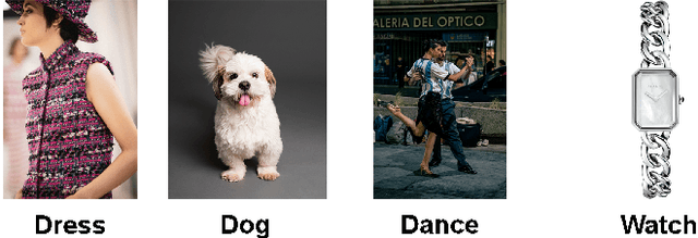 Figure 1 for A Comprehensive Study of Vision Transformers in Image Classification Tasks