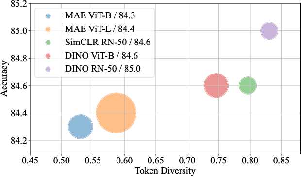 Figure 1 for Img2Vec: A Teacher of High Token-Diversity Helps Masked AutoEncoders