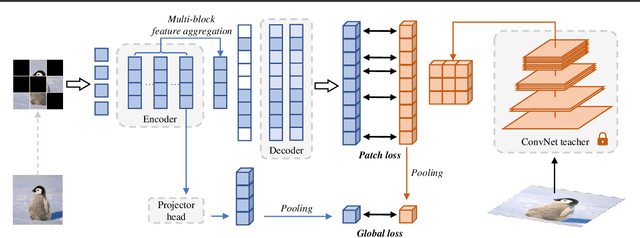 Figure 3 for Img2Vec: A Teacher of High Token-Diversity Helps Masked AutoEncoders
