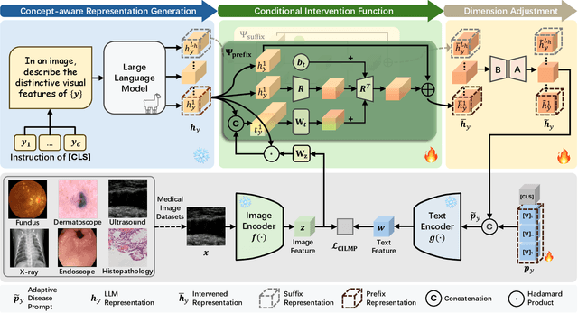 Figure 2 for Medical Knowledge Intervention Prompt Tuning for Medical Image Classification