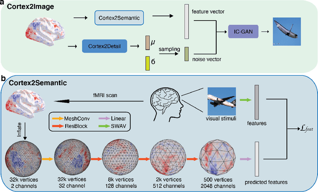 Figure 1 for Decoding natural image stimuli from fMRI data with a surface-based convolutional network