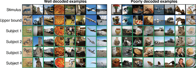 Figure 2 for Decoding natural image stimuli from fMRI data with a surface-based convolutional network