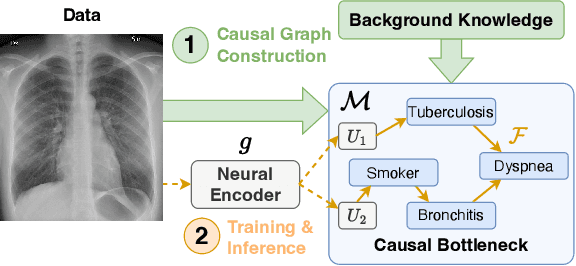 Figure 1 for Causally Reliable Concept Bottleneck Models
