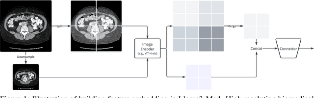Figure 1 for Advancing High Resolution Vision-Language Models in Biomedicine