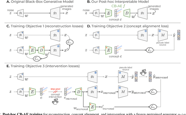Figure 3 for Interpretable Generative Models through Post-hoc Concept Bottlenecks