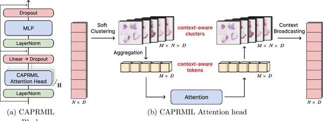 Figure 3 for CAPRMIL: Context-Aware Patch Representations for Multiple Instance Learning