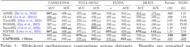 Figure 2 for CAPRMIL: Context-Aware Patch Representations for Multiple Instance Learning