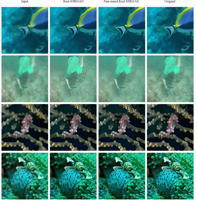 Figure 2 for Underwater Images Super-Resolution Using Generative Adversarial Network-based Model