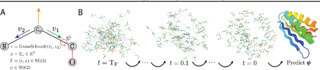 Figure 1 for SE(3) diffusion model with application to protein backbone generation