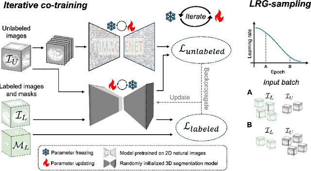 Figure 1 for Semi-Supervised 3D Medical Segmentation from 2D Natural Images Pretrained Model