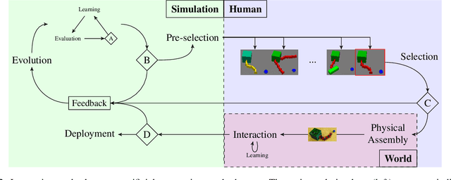 Figure 2 for Interactive embodied evolution for socially adept Artificial General Creatures