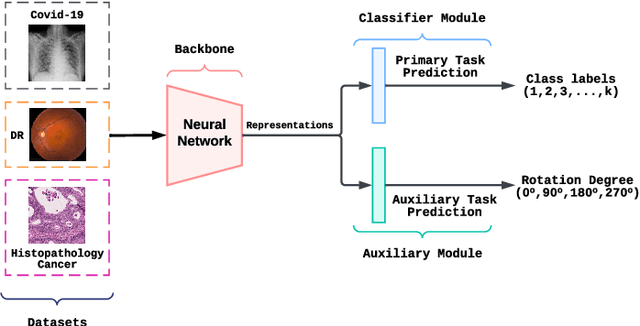 Figure 1 for Understanding Calibration of Deep Neural Networks for Medical Image Classification