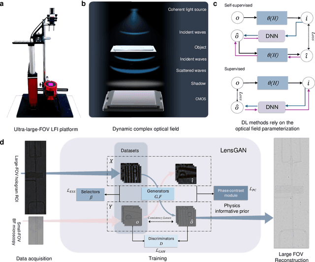 Figure 1 for Generative deep learning-enabled ultra-large field-of-view lens-free imaging