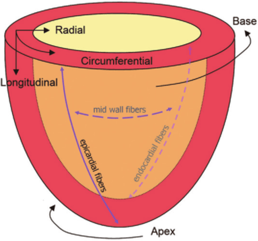 Figure 2 for A Deep Learning Based Method for Fast Registration of Cardiac Magnetic Resonance Images
