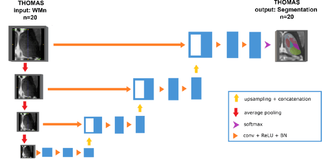 Figure 3 for DeepThalamus: A novel deep learning method for automatic segmentation of brain thalamic nuclei from multimodal ultra-high resolution MRI