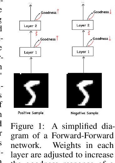 Figure 1 for The Forward-Forward Algorithm: Characterizing Training Behavior