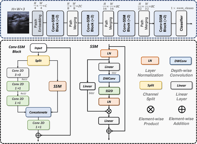 Figure 1 for MedMamba: Vision Mamba for Medical Image Classification