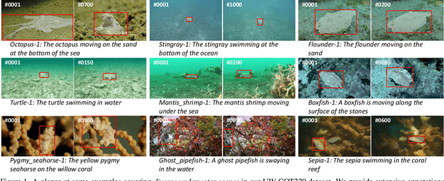 Figure 1 for Towards Underwater Camouflaged Object Tracking: An Experimental Evaluation of SAM and SAM 2