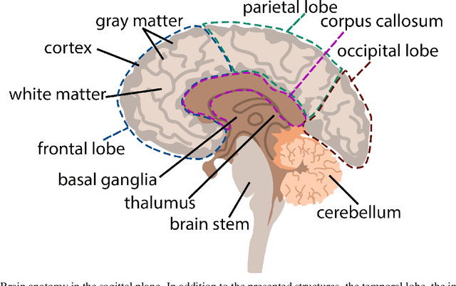 Figure 1 for Review of methods for automatic cerebral microbleeds detection