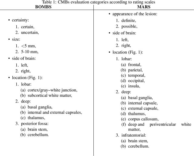 Figure 2 for Review of methods for automatic cerebral microbleeds detection