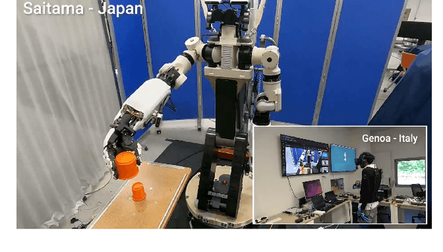Figure 1 for Remote telepresence over large distances via robot avatars: case studies