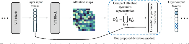 Figure 3 for SPOT: Sparsification with Attention Dynamics via Token Relevance in Vision Transformers