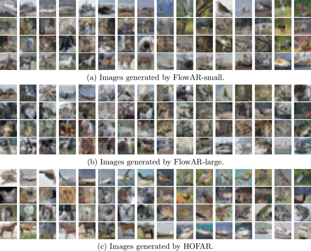 Figure 2 for HOFAR: High-Order Augmentation of Flow Autoregressive Transformers