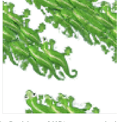 Figure 2 for Identity Increases Stability in Neural Cellular Automata