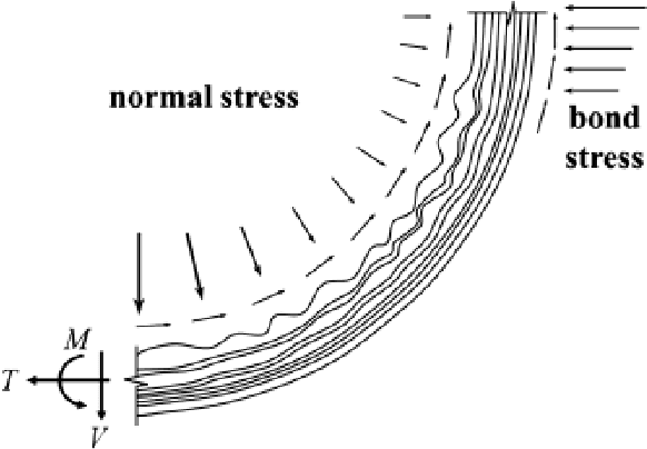 Figure 1 for Structure Analysis of the FRP Rebar Using Computer Vision Techniques