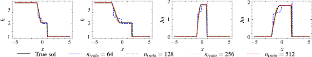Figure 2 for Entropy stable conservative flux form neural networks
