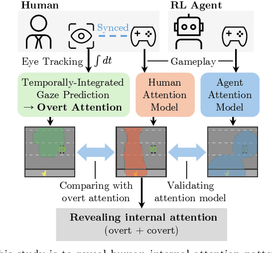 Figure 1 for Revealing Covert Attention by Analyzing Human and Reinforcement Learning Agent Gameplay