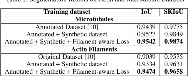 Figure 2 for A Conditional Generative Framework for Synthetic Data Augmentation in Segmenting Thin and Elongated Structures in Biological Images