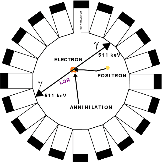 Figure 1 for On-chip fully reconfigurable Artificial Neural Network in 16 nm FinFET for Positron Emission Tomography