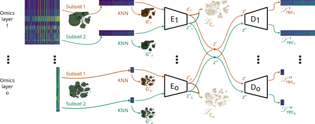 Figure 2 for Subset-Contrastive Multi-Omics Network Embedding