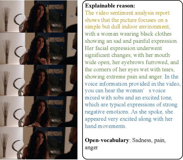 Figure 1 for Omni-Emotion: Extending Video MLLM with Detailed Face and Audio Modeling for Multimodal Emotion Analysis