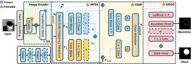 Figure 1 for FreqDINO: Frequency-Guided Adaptation for Generalized Boundary-Aware Ultrasound Image Segmentation